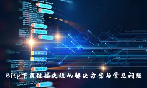 Bitp下载链接失效的解决方案与常见问题