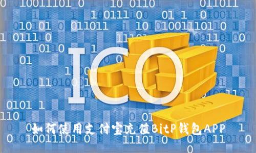 如何使用支付宝充值BitP钱包APP