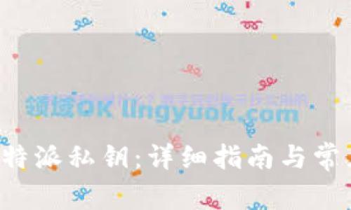 如何导出B特派私钥：详细指南与常见问题解答