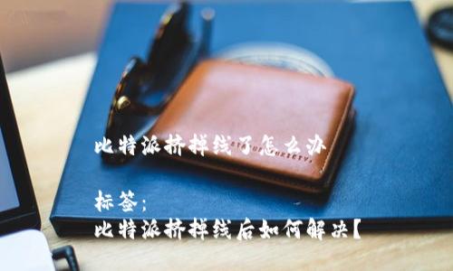 比特派挤掉线了怎么办

标签： 
比特派挤掉线后如何解决？