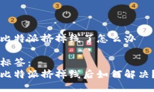 比特派挤掉线了怎么办

标签： 
比特派挤掉线后如何解决？