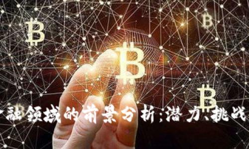 区块链在金融领域的前景分析：潜力、挑战与未来发展