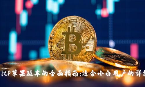 使用BitP苹果版本的全面指南：适合小白用户的详细介绍