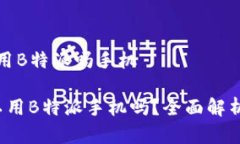 在国内可以用B特派吗手机 在国内可以用B特派手