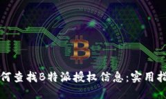 如何查找B特派授权信息：实用指南