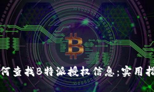 如何查找B特派授权信息：实用指南