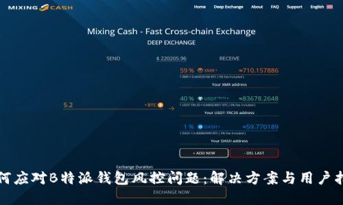 如何应对B特派钱包风控问题：解决方案与用户指南