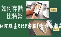 如何联系BitP客服？全方位指南