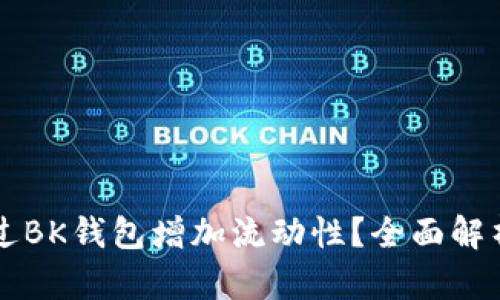 如何通过BK钱包增加流动性？全面解析与应用