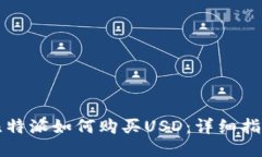 比特派如何购买USD：详细指南