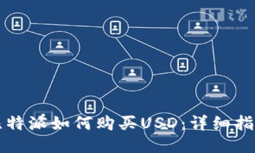 比特派如何购买USD：详细指南