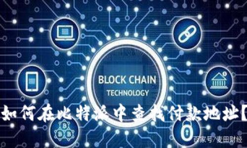 如何在比特派中查找付款地址？