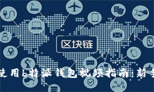 如何使用b特派钱包视频指南：新手必看