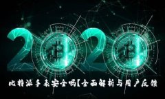 比特派手表安全吗？全面解析与用户反馈