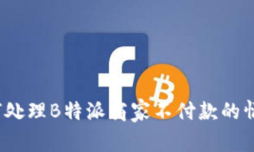 如何处理B特派商家不付款的情况？