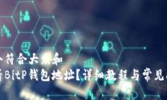 思考一个符合大众和  如何查看BitP钱包地址？详