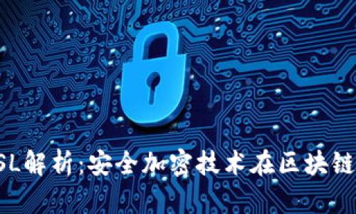 比特派SSL解析：安全加密技术在区块链中的应用