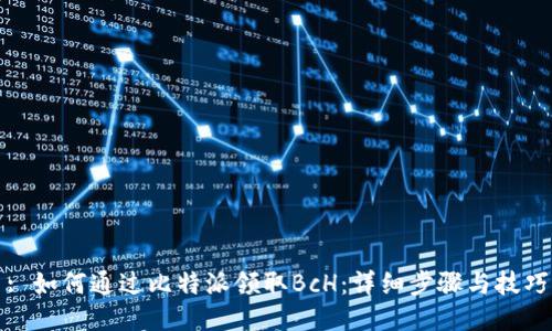 : 如何通过比特派领取BcH：详细步骤与技巧